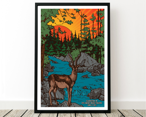 Phish Poster - Michigan 2011